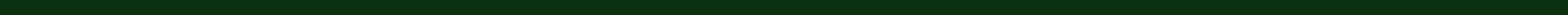 green divider.png